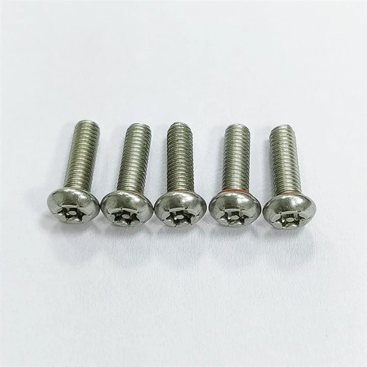torx sealing screw (7)